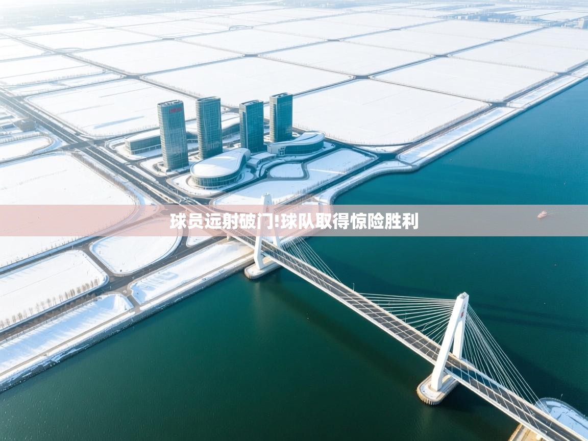 球员远射破门!球队取得惊险胜利  第1张