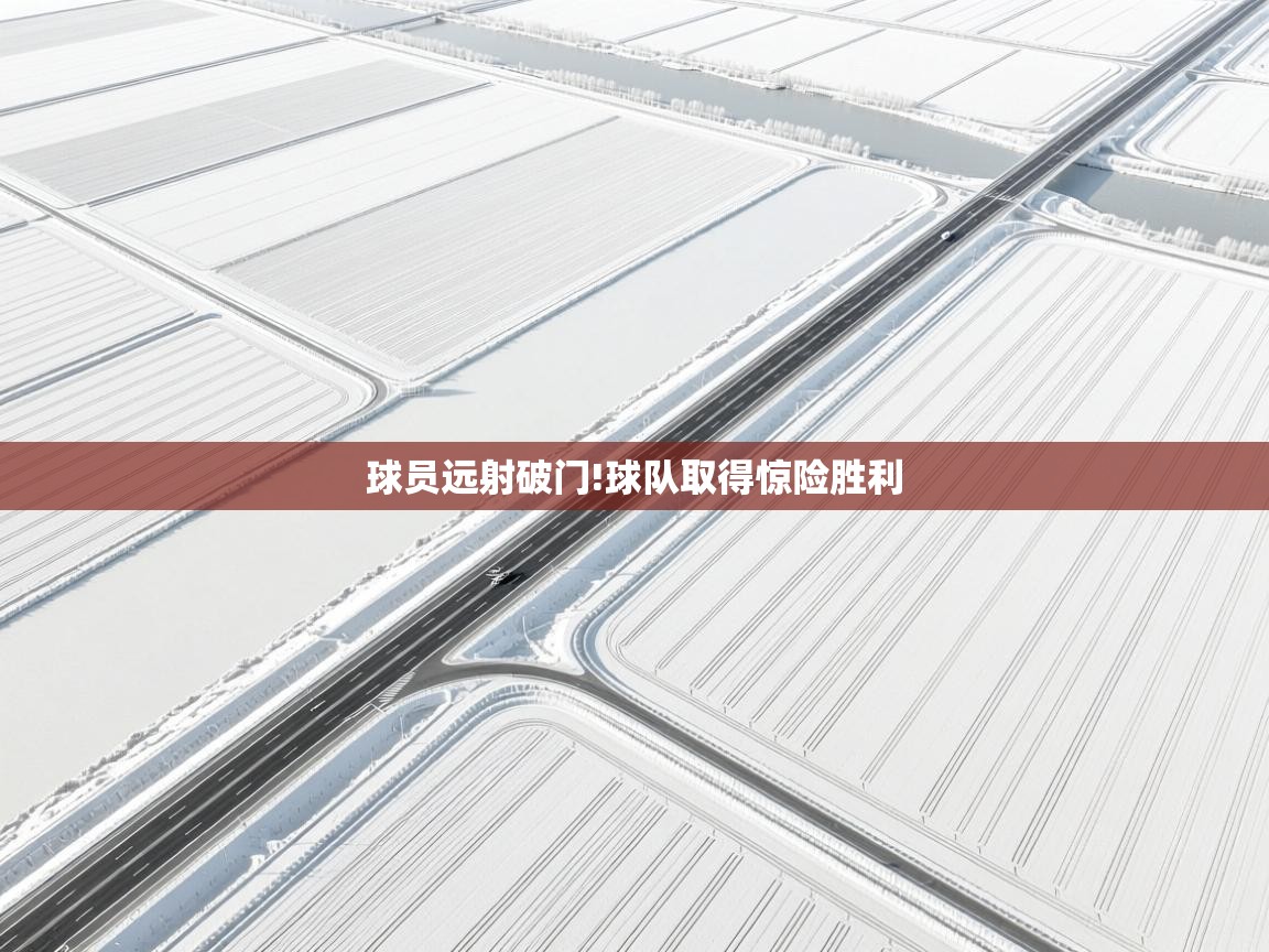 球员远射破门!球队取得惊险胜利  第2张